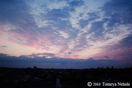 Morning glow 2.22