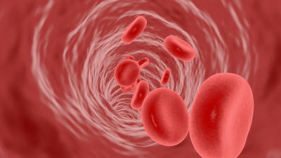 臍帯血の世界へ: 医学の新たな章を発見しましょう