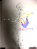 IMG_3975.gif