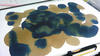20111119_2.jpg