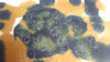 20111119_3.jpg