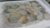 20111119_5.jpg