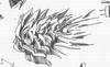 sc0004.png