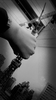 DCIM0198_4.png