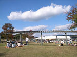 fbcec219.JPG