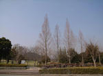 R0012075.JPG