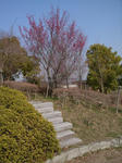 R0012065.JPG
