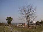 R0012071.JPG