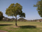 R0012124.JPG