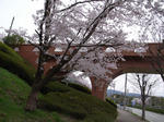R0012221.JPG