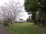 R0012248.JPG