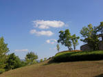 SANY0010.JPG