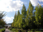 SANY0018.JPG