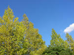 SANY0019.JPG