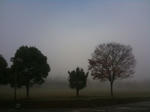 kiri-general-park01.jpg