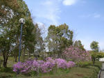 R0013763.JPG