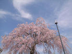 R0013764.JPG