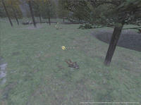 081026000022a.jpg