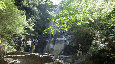 th_IMGP0020.jpg