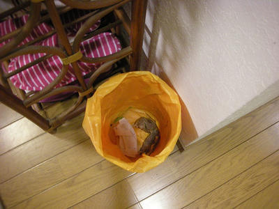 DSCN4122.JPG