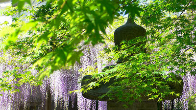 宗生寺