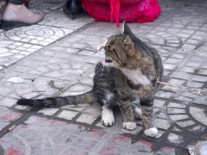 20070927_09.jpg