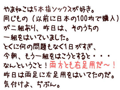 20071204_2.jpg