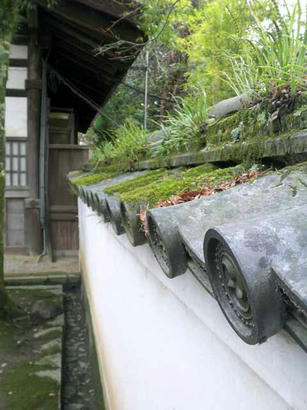 20080116_7.jpg