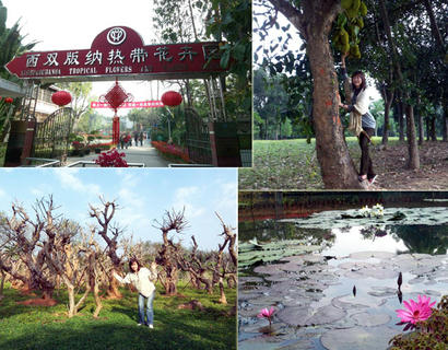 20080330_14.jpg