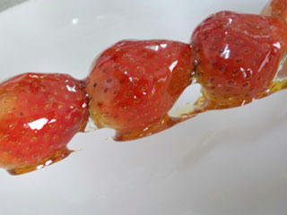 20080408_02.jpg