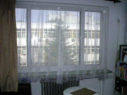 20080424_1.jpg