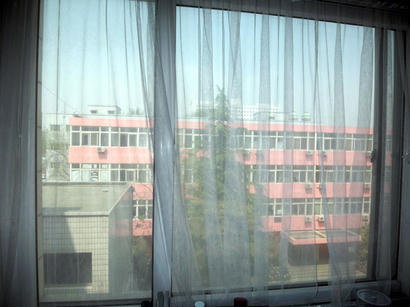 20080424_2.jpg