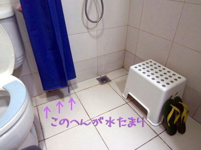 20080424_3.jpg