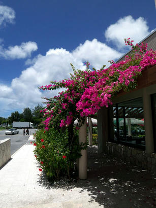 20081004_4.jpg