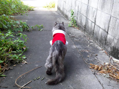 20081224_1.jpg