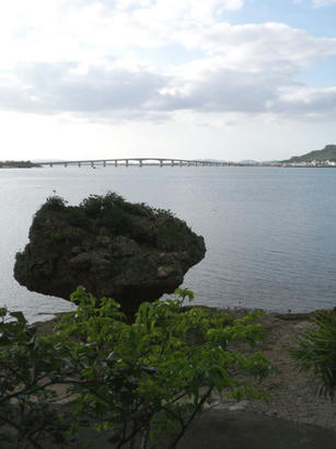 20090317_8.jpg