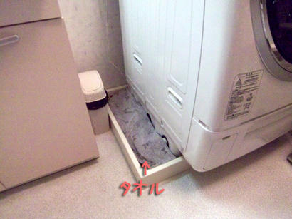 20090327_9.jpg