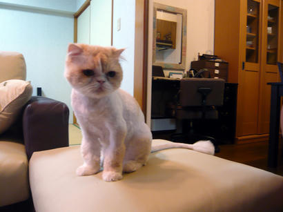 20090706_1.jpg