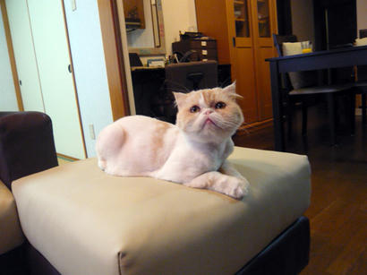 20090706_2.jpg