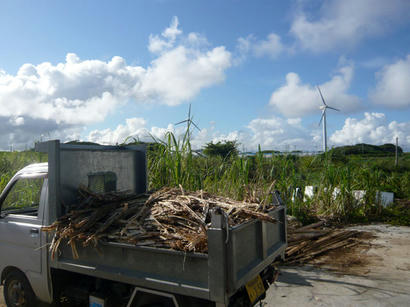 20090911_01.jpg