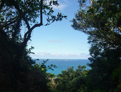 20090911_10.jpg