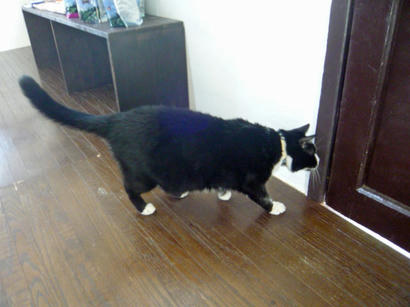 20091025_2.jpg