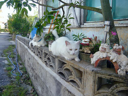 20091025_4.jpg