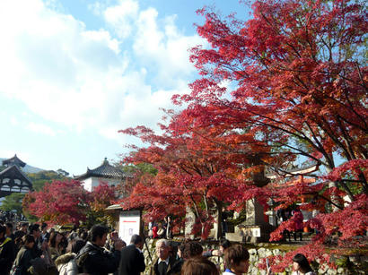 20091130_3.jpg