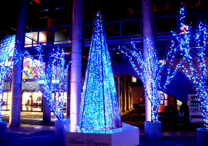 20091211_1.jpg