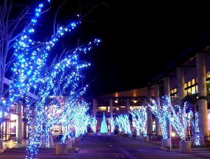 20091211_2.jpg