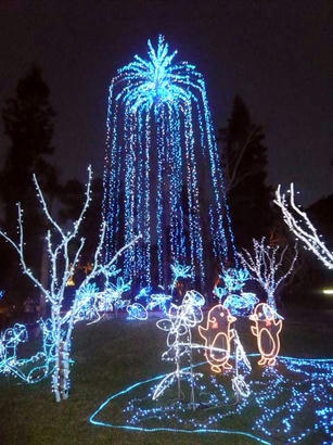 20091224_07.jpg