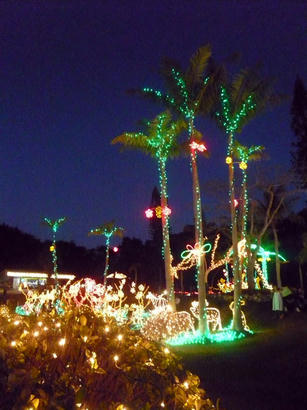 20091224_08.jpg
