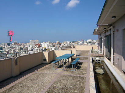 20100112_3.jpg