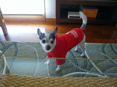 20100112_4.jpg